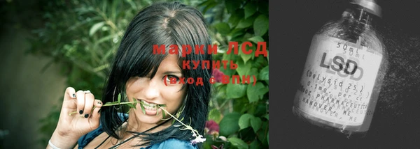 молекула духа Гатчина