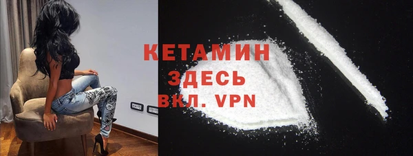 ПСИЛОЦИБИНОВЫЕ ГРИБЫ Ельня