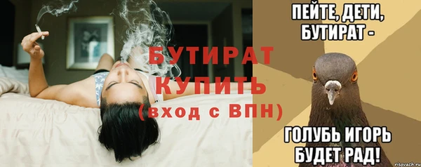 ПСИЛОЦИБИНОВЫЕ ГРИБЫ Ельня