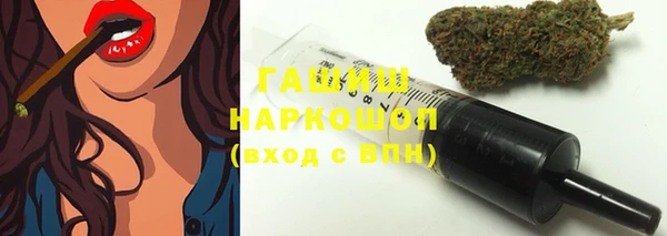 стафф Елизово