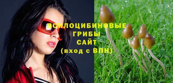 MDMA Заводоуковск