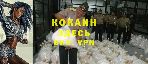 стафф Елизово