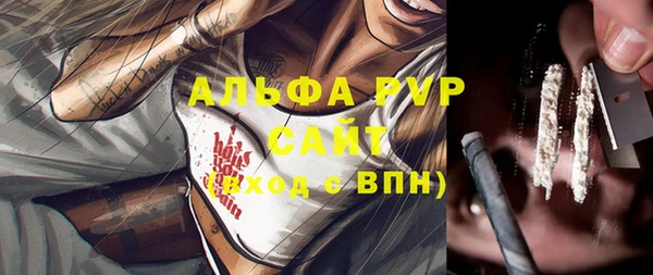 ПСИЛОЦИБИНОВЫЕ ГРИБЫ Ельня