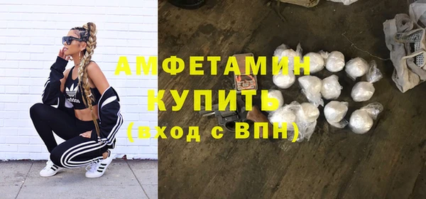 ПСИЛОЦИБИНОВЫЕ ГРИБЫ Ельня
