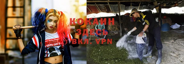 ПСИЛОЦИБИНОВЫЕ ГРИБЫ Ельня