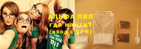 ПСИЛОЦИБИНОВЫЕ ГРИБЫ Ельня