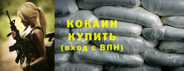 стафф Елизово