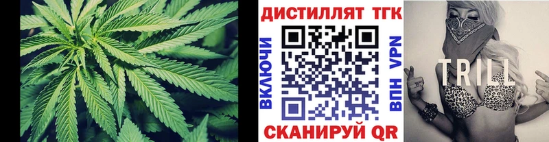 купить   Заполярный  hydra маркетплейс  ТГК жижа 