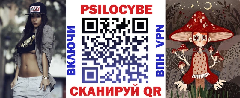 Псилоцибиновые грибы мицелий  что такое   Заполярный 